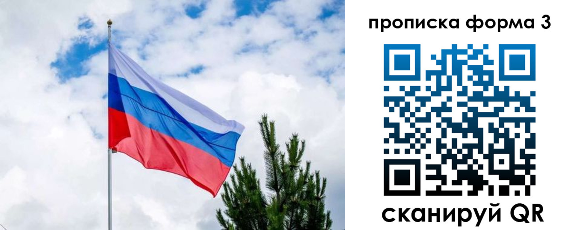 прописка для школы в Можайске